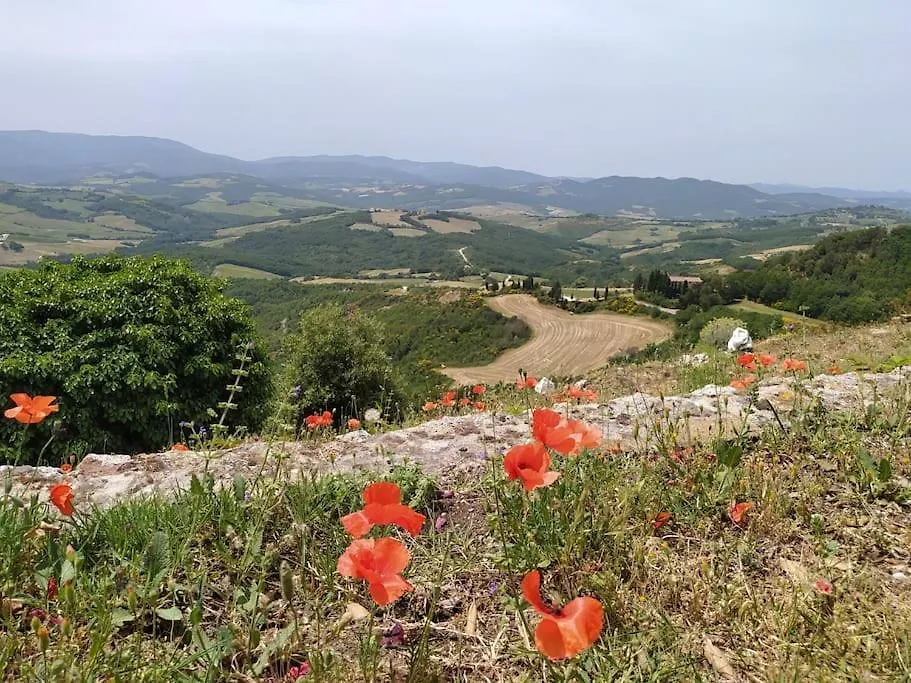 Casa Contadina In Borgo Medievale, Tuscany Apartment Monteguidi Italy