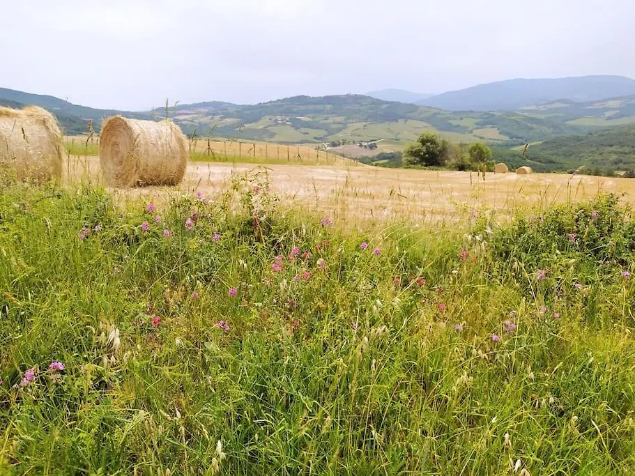 Casa Contadina In Borgo Medievale, Tuscany Apartment Monteguidi