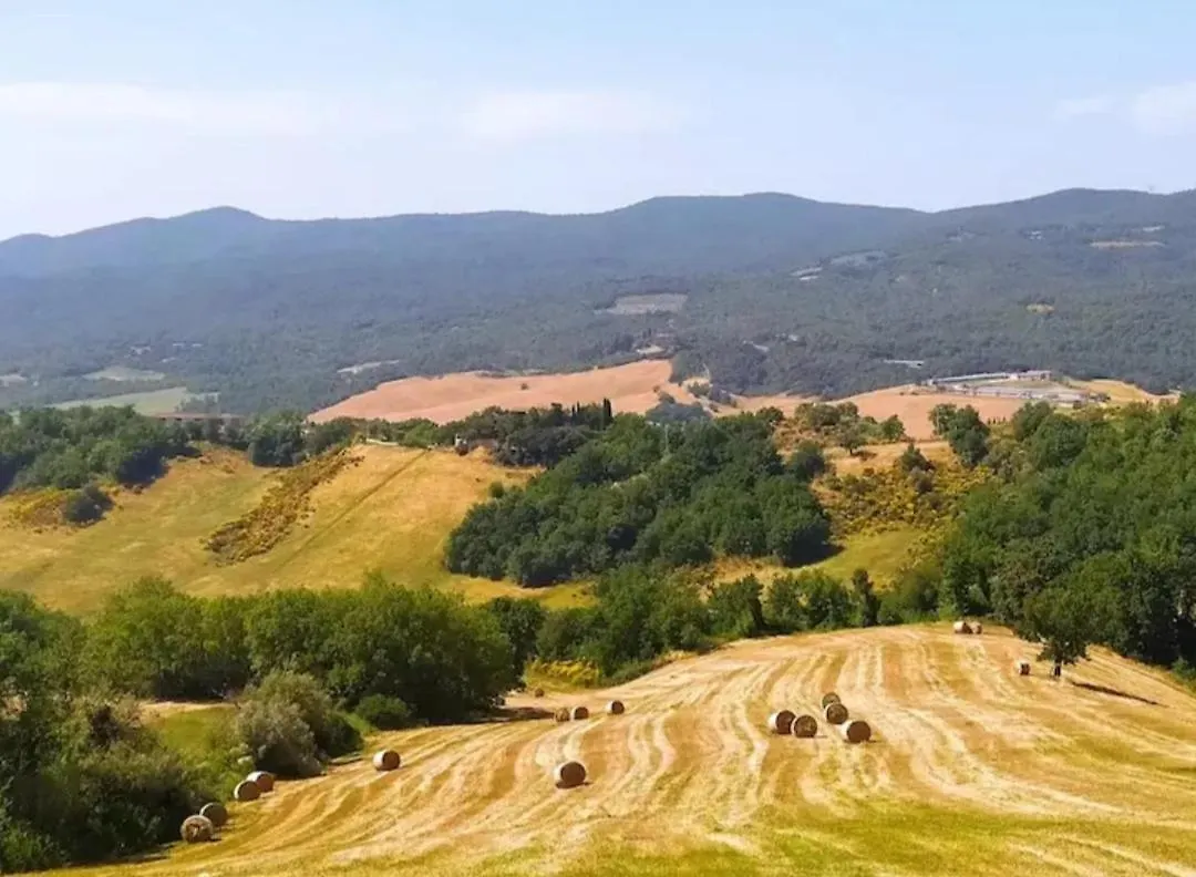 Casa Contadina in borgo medievale, Tuscany Monteguidi Italia